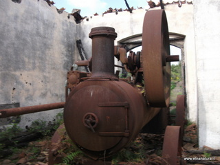 zzena-07-04-2013 08-18-09